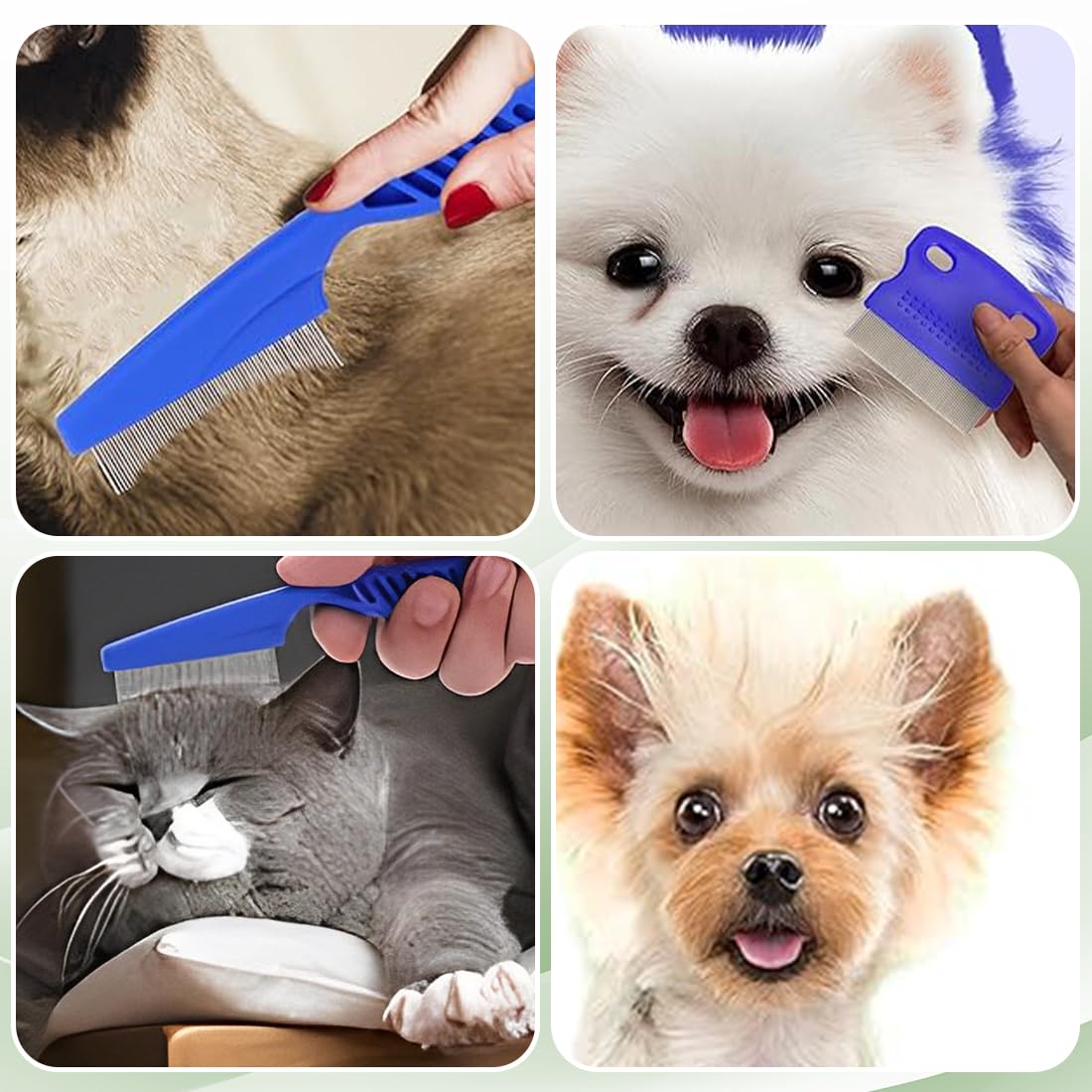 WeddHuis Set de 4 peignes anti puces pour chats et chiens, avec clip à tique, dents en métal, outil d'épilation multifonctionnel pour chiots et chatons (Acier inoxydable)