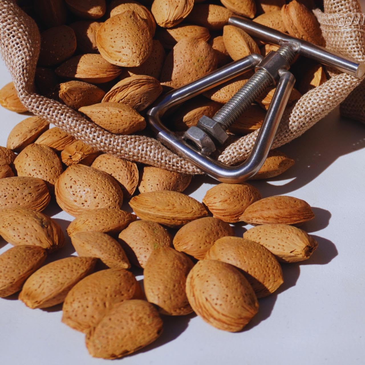 Almendras con Cáscara 2 Kg - Premium Españolas - Fruto Seco Nacional - Sostenibles y 100% Naturales - Made in Spain
