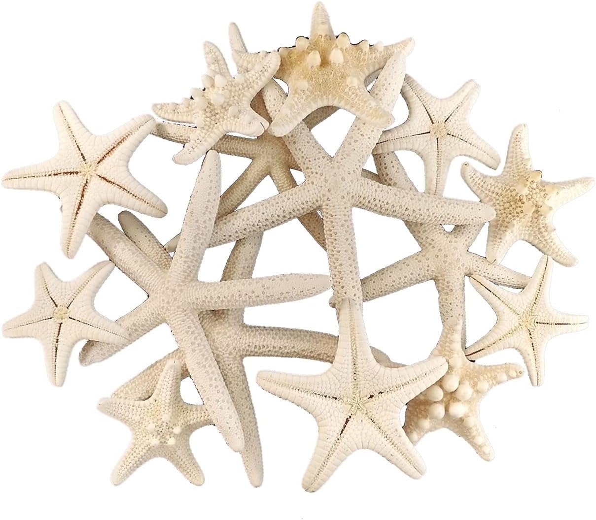 貝殻 天然ヒトデ地中海風diy人工シースターシェルパーティーウェディングホーム装飾手工芸品 Color フリー Size Style Mix 入荷予定
