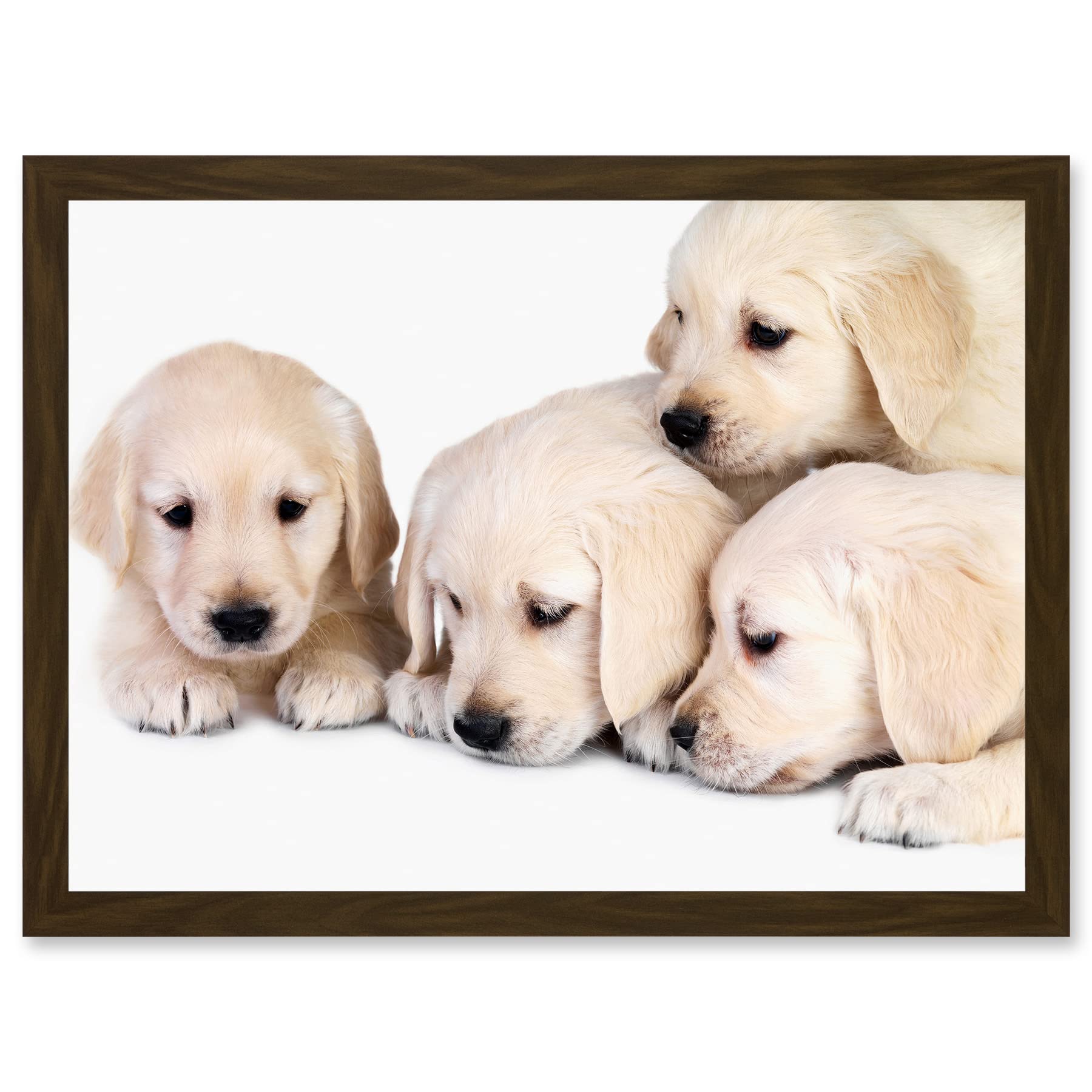 Artery8 Puppys Golden Retriever Dog Pet Labrador Cute A4 Artwork Framed Wall Art Print
