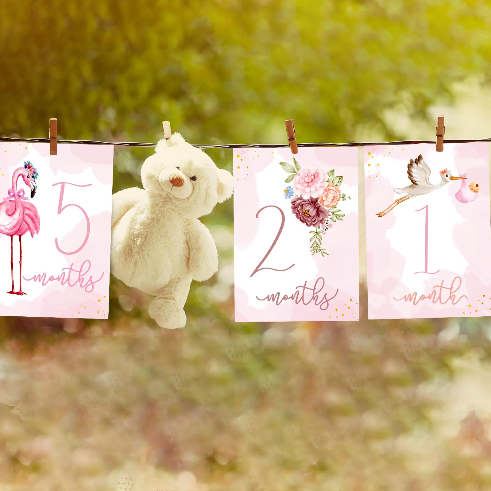 Milestone Cards Baby Monthly Milestone Cards Baby Gift New Mom Baby Shower Baby's Milestone Month Cards Boy Girl Monthly Photos Pictures (Girl)