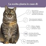 Ver la foto 3