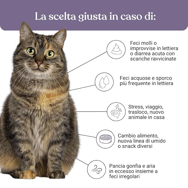 Foto 3 de 8 de Miào Stop Diarrea Gato Pasta - Apoyo Intestinal en Diarrea Aguda, Heces Más Firmes, Reposición…