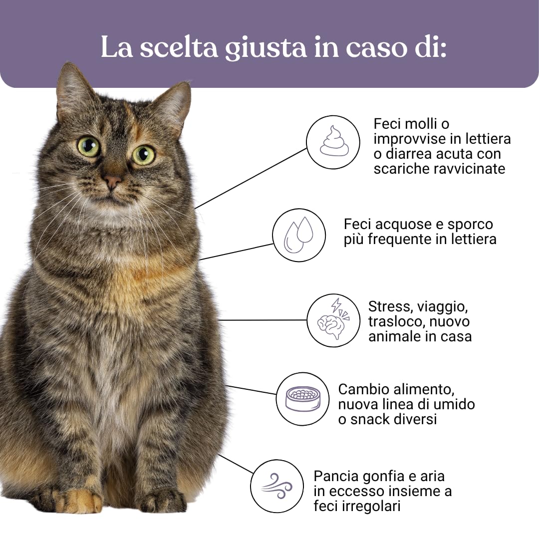 Miào Stop Diarrea Gatto Pasta – Supporto Intestinale per Diarrea Acuta, Feci più Solide, Reintegro Elettroliti e Liquidi, Pancia Gonfia, Facile Somministrazione