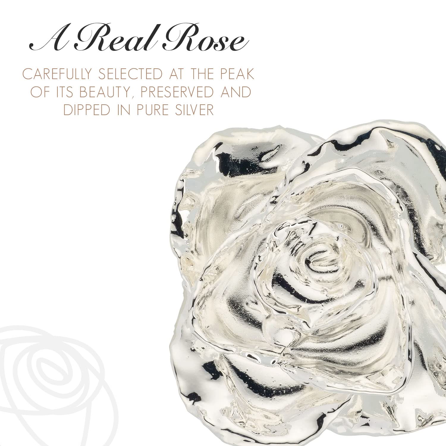 Forever Rose Acrylic Heart Vase Combo - Timeless, One of a Kind, Real Silver Dipped Rose, Romantic Acrylic Heart-Shaped Vase Included