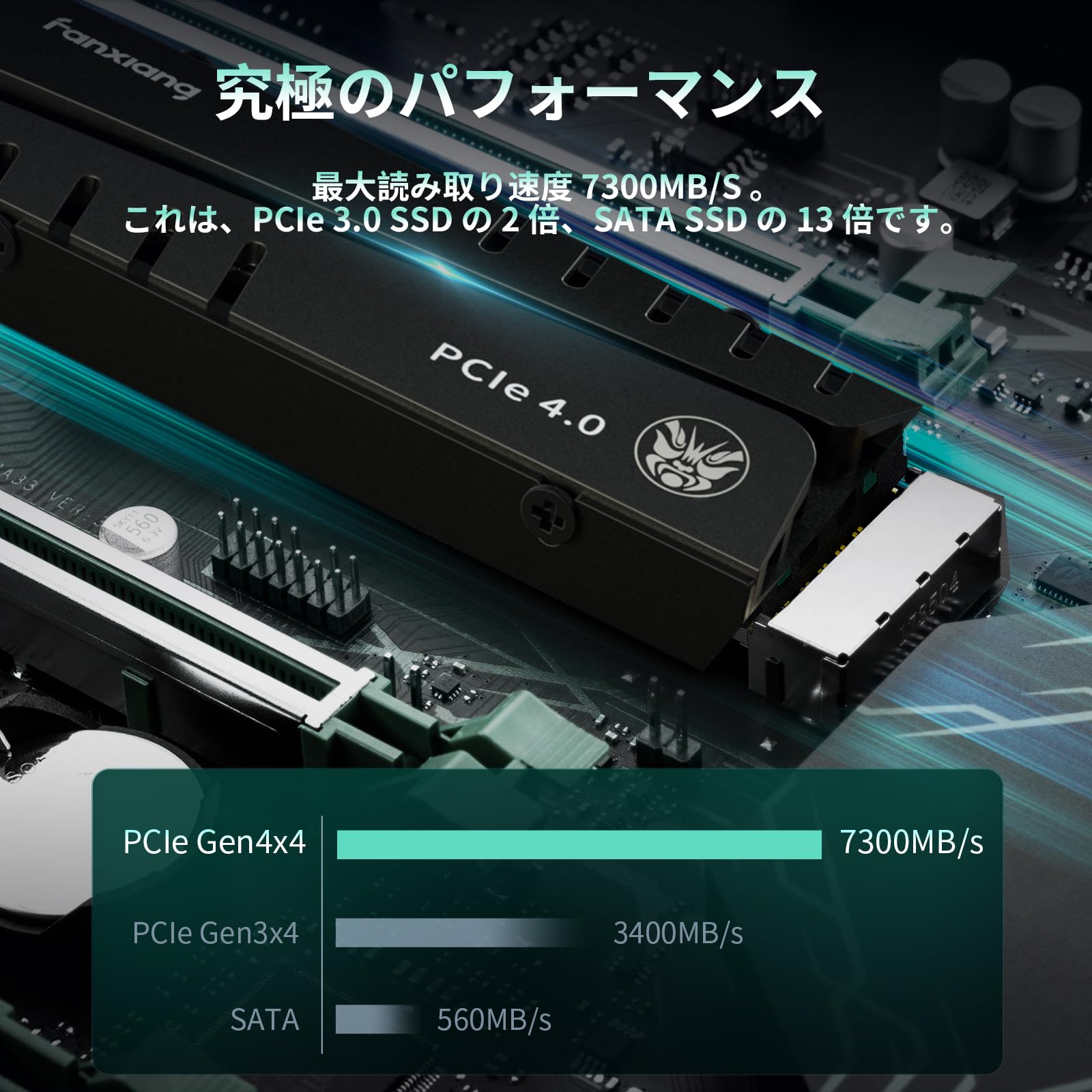 Amazon.co.jp: Fanxiang S770 SSD 1TB (Equipped with DRAM Cache, PS5