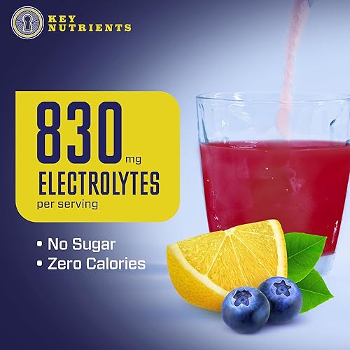 Miniatura 4 de KEY NUTRIENTS Electrolitos en polvo sin azúcar, polvo de electrolitos de limonada de arándanos frescos, polvo de hidratación, sin calorías, sin