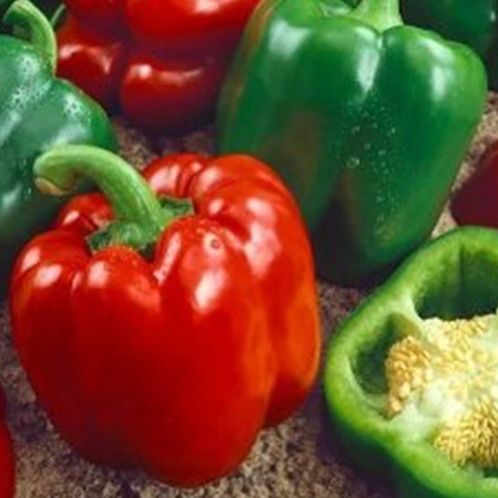 Keystone Resistant Giant Sweet Pepper Seeds