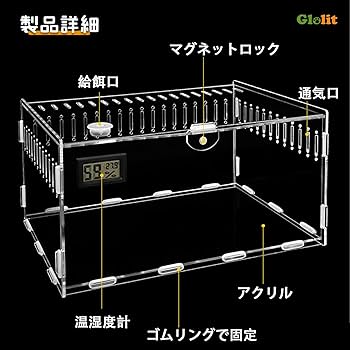 Amazon | 爬虫類 ケージ トカゲ ケージ カナヘビ飼育ケース