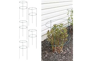 36" x 18" Peony Double Ring Plant Support for Robust Stemmed Plants