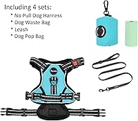 Vista 40 de Petmolico - Juego de arnés para perro sin tirones, 2 correas de sujeción con asa de fácil control, chaleco reflectante para razas pequeñas, arnés