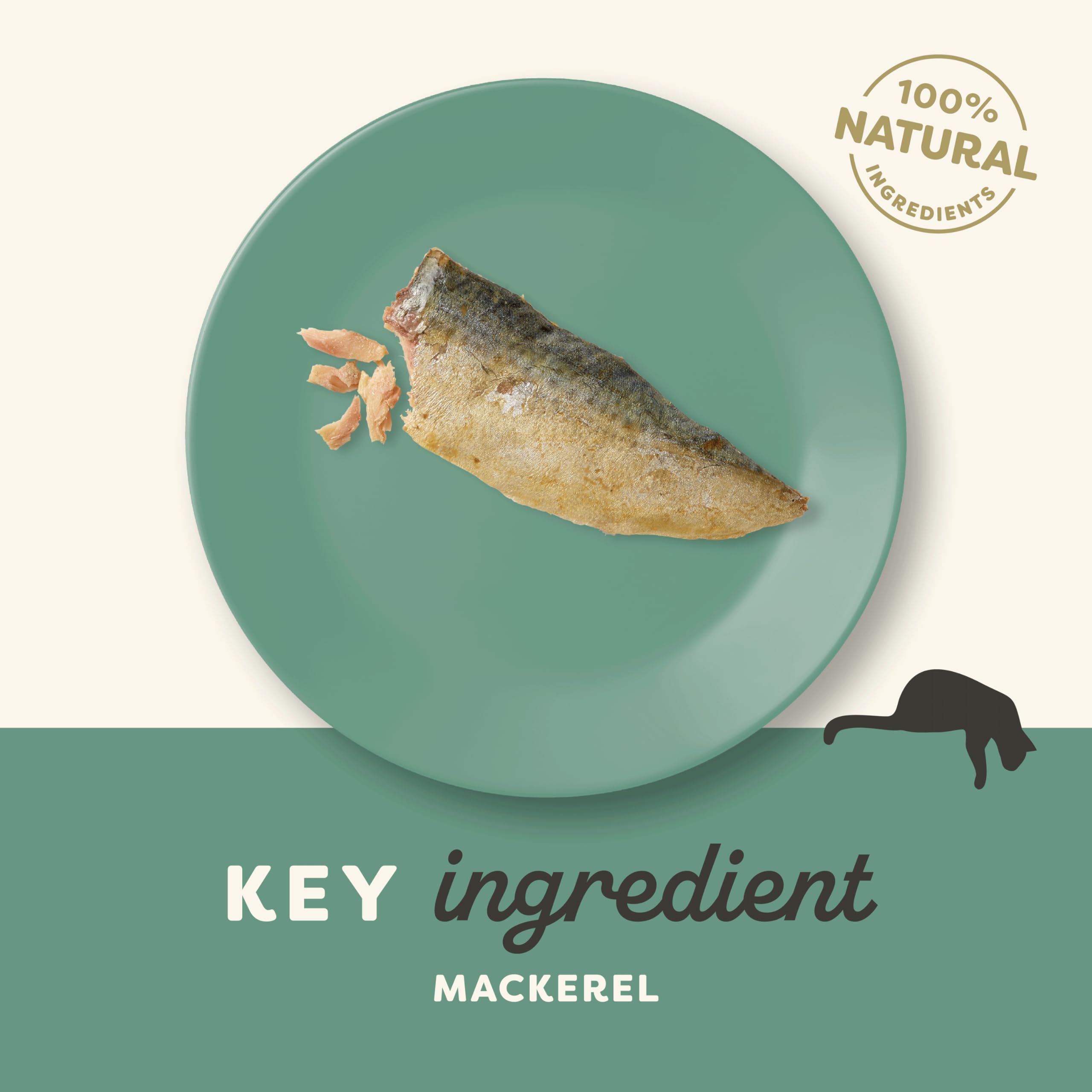 Applaws 100% naturalny kot, mackerel loin 30 g (opakowanie 12)