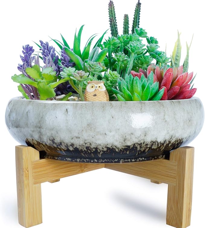 Succulent Planters Ceramic Succulent Pots with Drainage