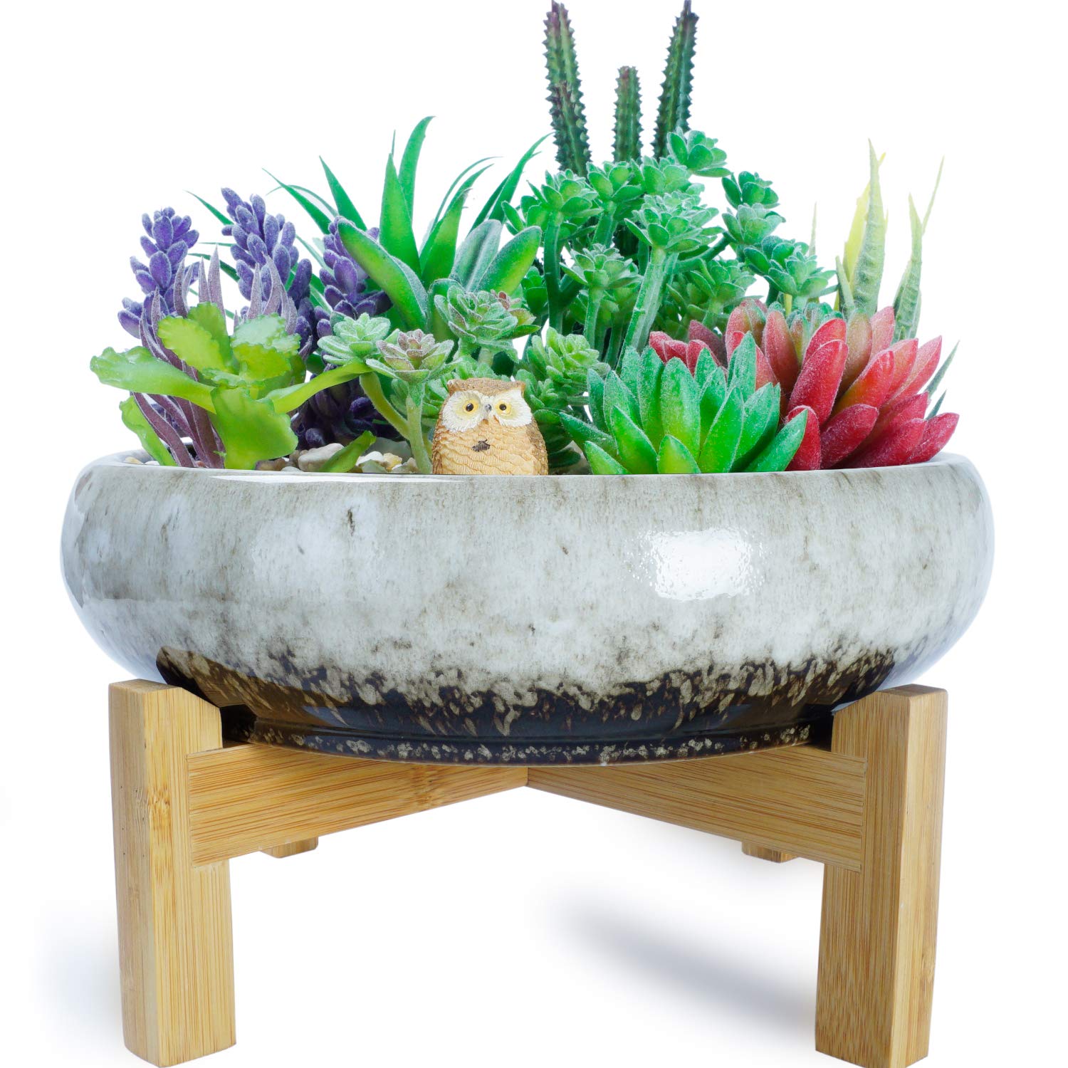 ARTKETTY Succulent Plant Pot - Large Bonsai Pot with Stand Shallow Cactus Plant Pot with Mess Drainage Screen, 25.4 CM Ceramic Flower Plant Container Bowl for Indoor/Outdoor (White)