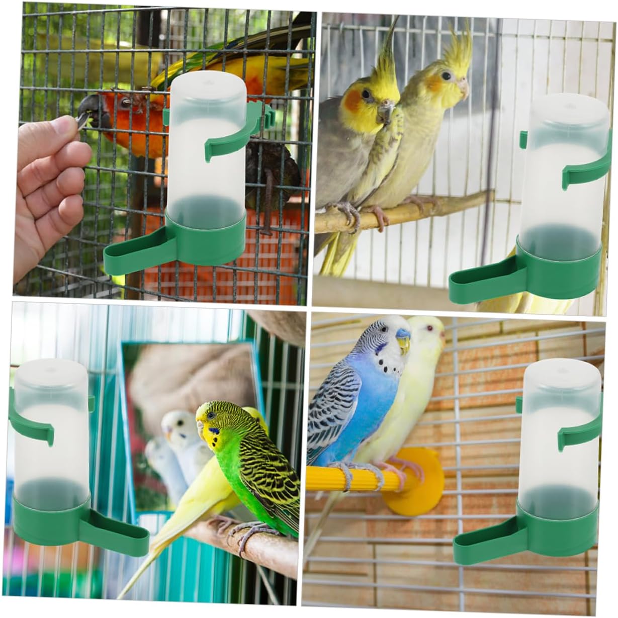 20pcs Sturdy Bird Water Dish Parrot Water Drinkers Rabbit Drinking Glasses Bird Waterer for Parrots