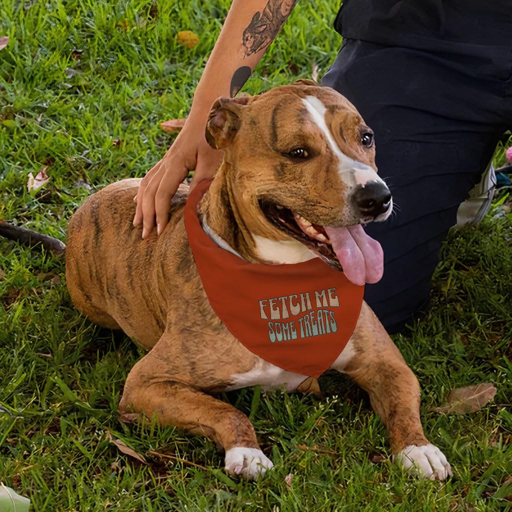 Funny "Service Dog" Red Triangle Bandana For Small/Medium Dogs - Adjustable Pet Scarf