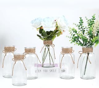 20 Fun and Easy Mason Jar Crafts That Will Spark Your Creativity (You’ll Love #18!) 86 Mason Jars Glass Vases Set of 6, Clear Flower Vase for Centerpieces | Ru...