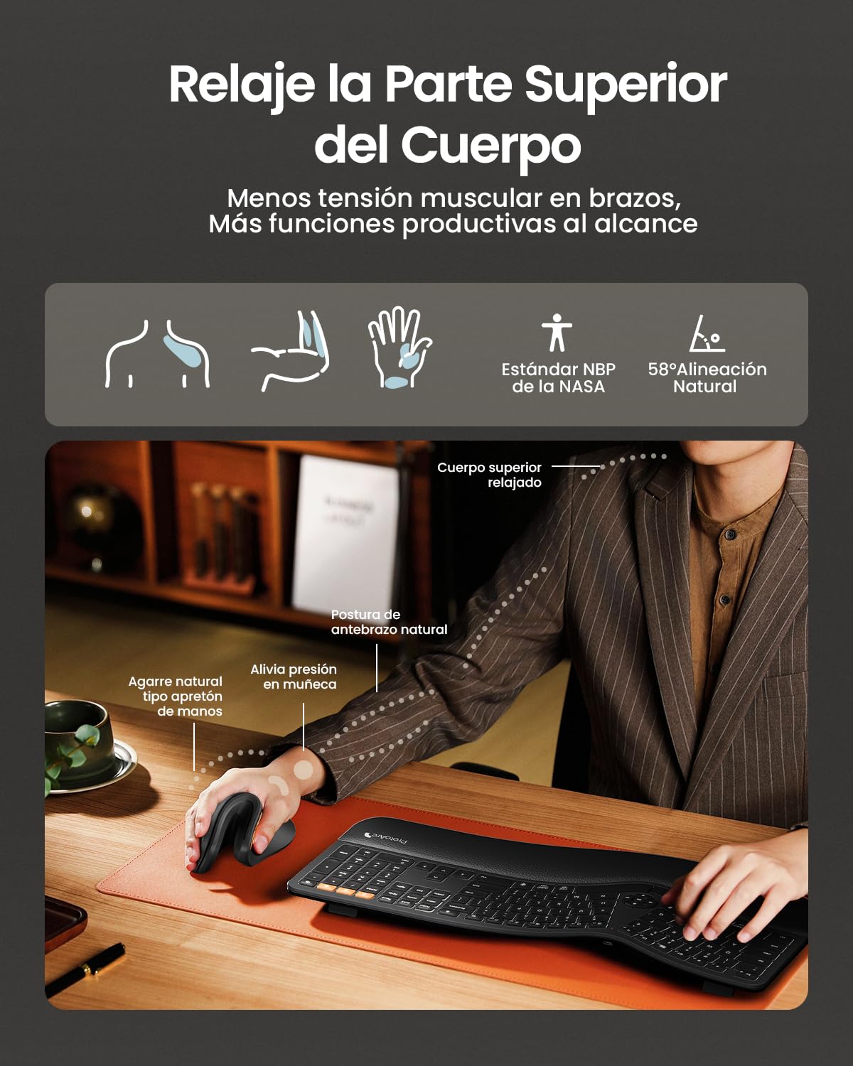 ProtoArc Ratón Ergonómico, EM11 NL Inalámbrico Mini Vertical Ratón óptico Recargable con 3 Puertos de Dispositivo (2*Bluetooth y USB), 3 dpi Ajustables para Ordenador, iPad, Mac, Windows - Negro