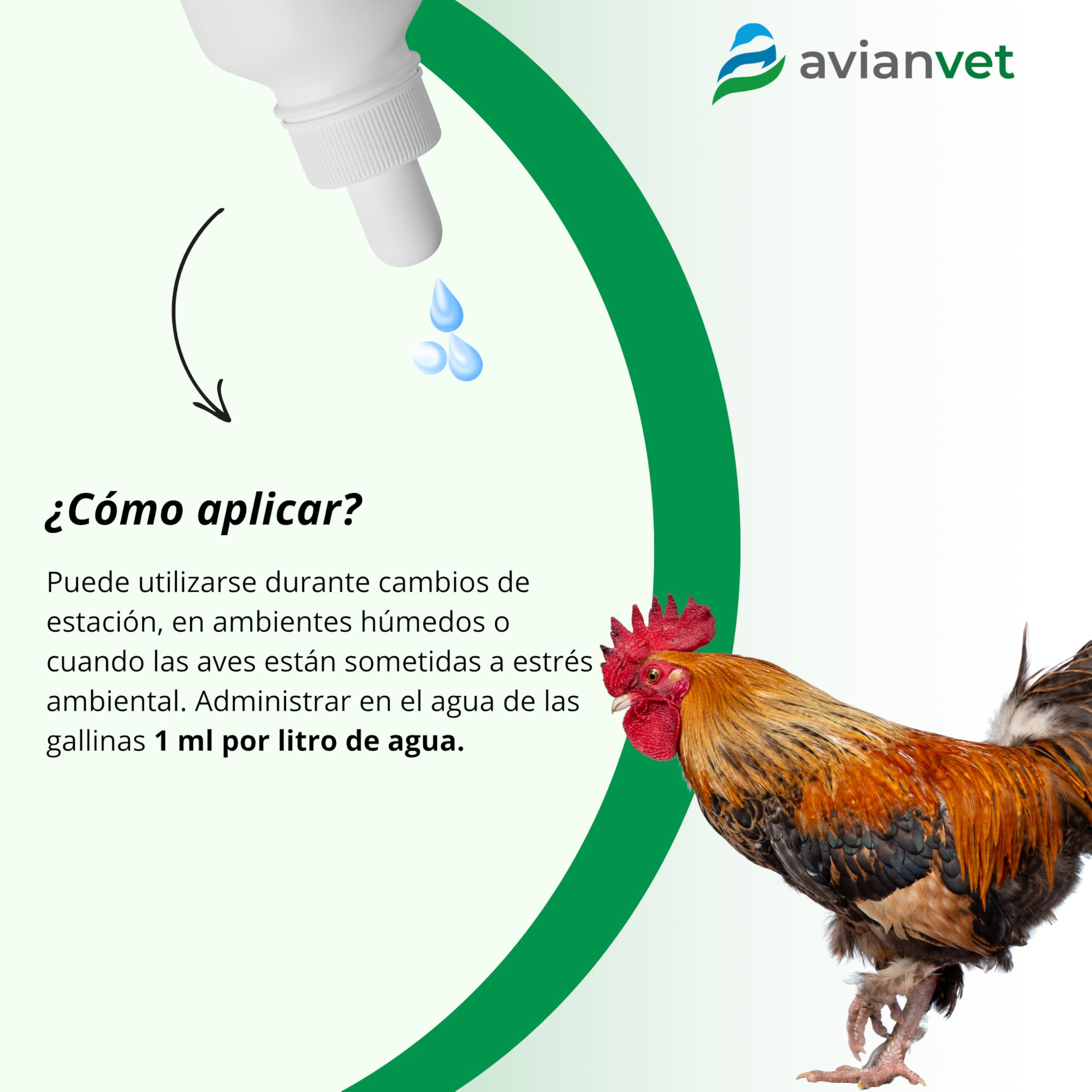 Multivitamines | Supplément vitaminique pour poules et volailles | Soutien nutritionnel, vitalité et équilibre | 500 ml