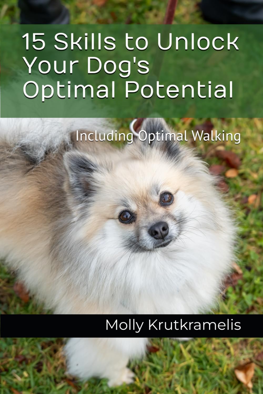 15 Skills to Unlock Your Dog's Optimal Potential: Including Optimal Walking