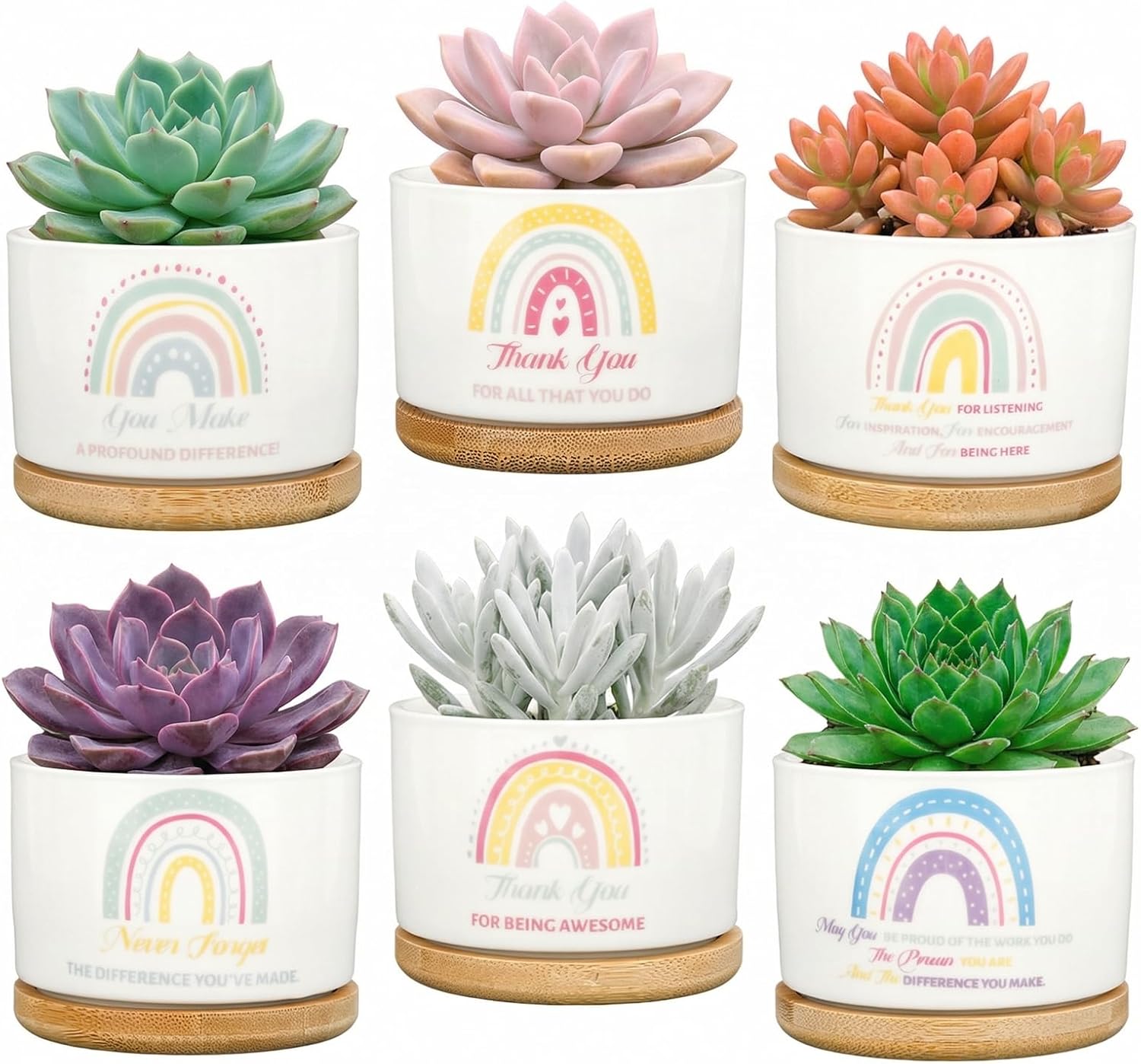 6 Pcs Thank You Employee Appreciation Gifts, Ceramic Suculentas Pots with Bamboo Tray, Administrative Professional Day Gifts, Mini Plant Pots for Coworkers Teachers Nurse Volunteer, Plant Excluded