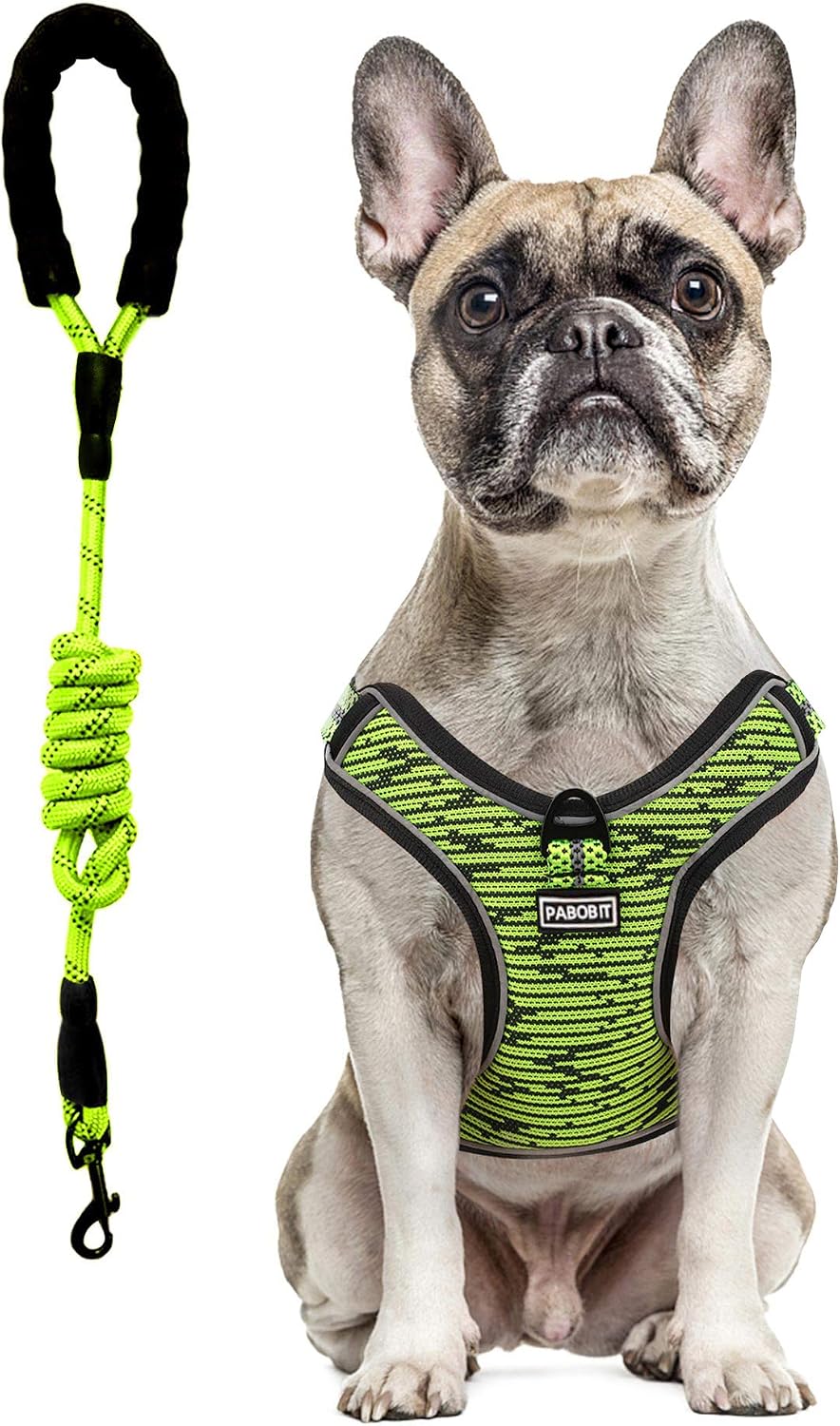 PABOBIT Dog Harness, No Pull Dog Harness and Leash Set, Reflective Adjustable Pet Vest with 5ft Dog Leash, Soft Breathable Flying Net Dog Harness for Large Medium Small Dogs (Green, M)