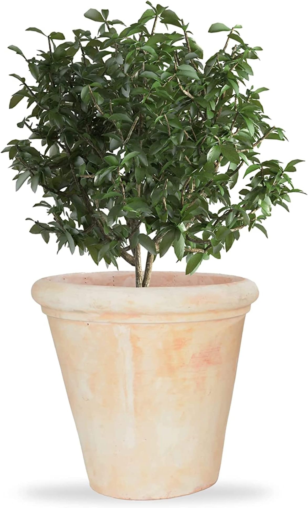 Gardenesque Large Terracotta Plant Pots Outdoor Large Plant Pots