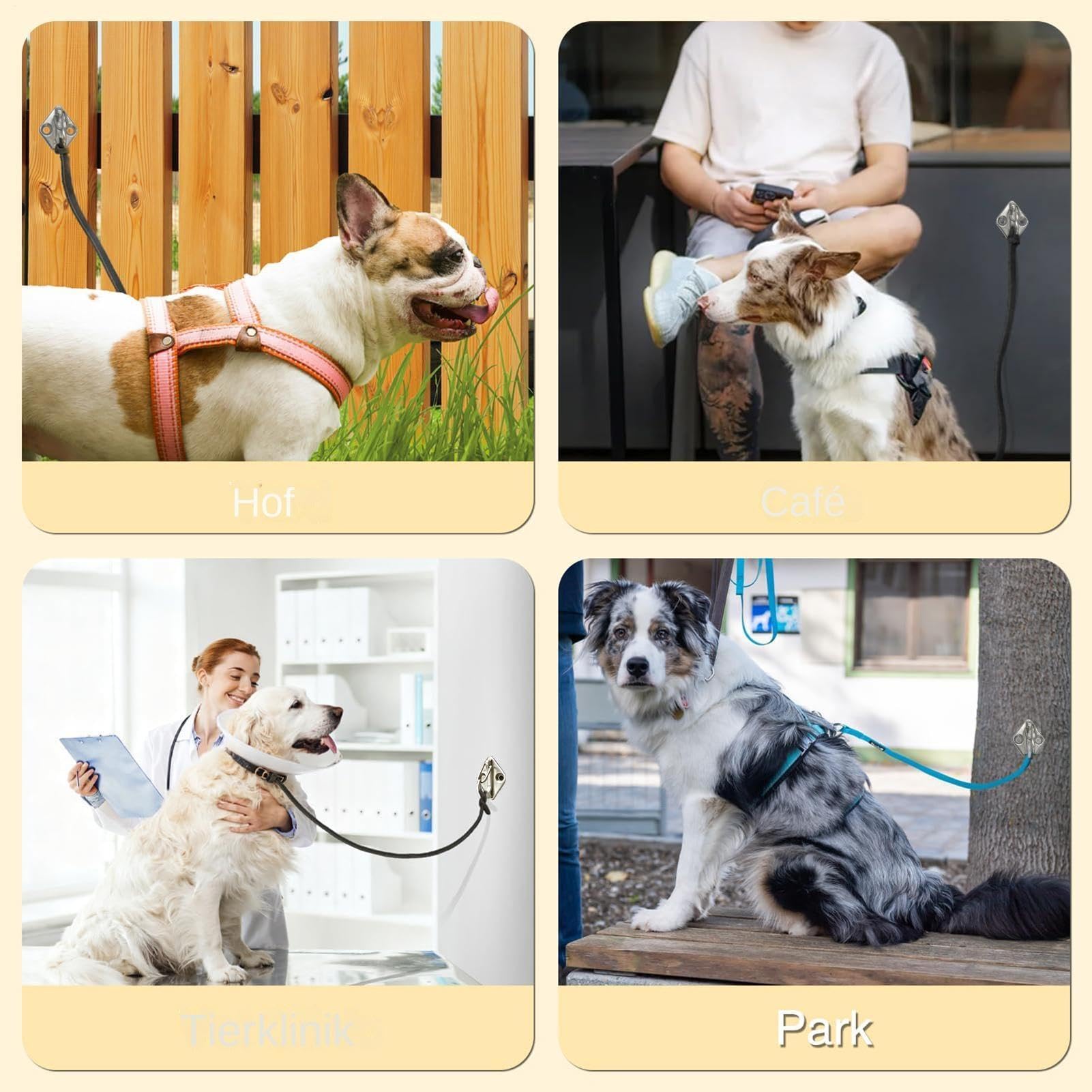 Hunde-Anbindehaken – rostfreier Edelstahl, Leine zum Parken im Innenbereich, zuverlässiger Halter für die Leine für Haustiere | Robuste Wandhalterung zur Tierhaltung für Eltern, Mieter, Eingangsbereic