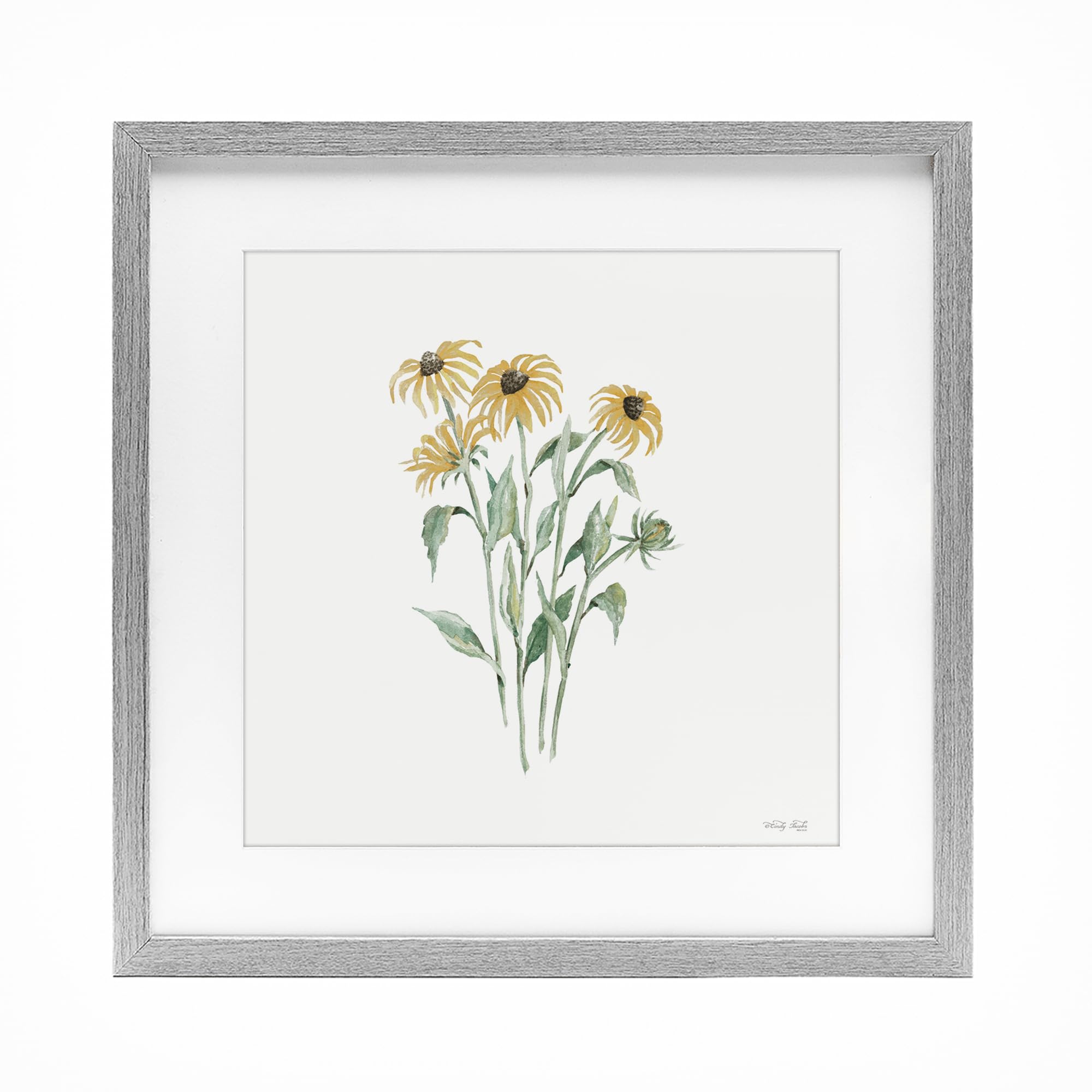 Susan Botanical Birch encadrée Stupell Industries avec verre premium