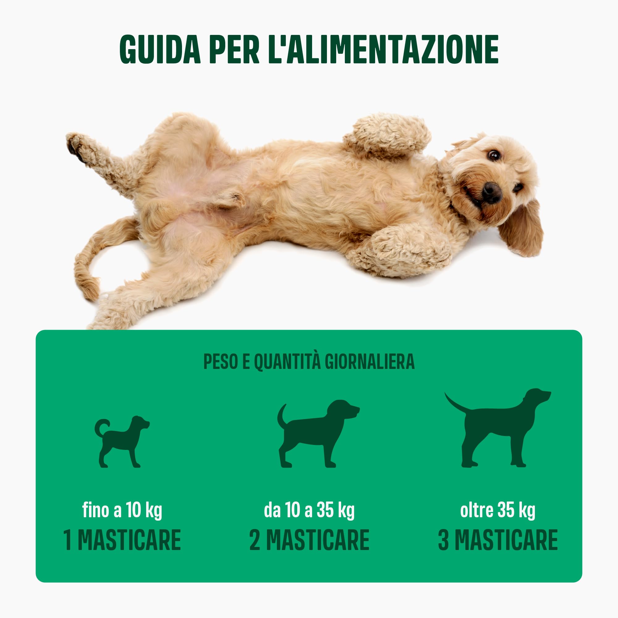 ivvi PROBIOTIC per cani in forma di bocconcino - per la formazione della flora intestinale, per il miglioramento della digestione e del sistema immunitario - 60 gustosi snack con pollo