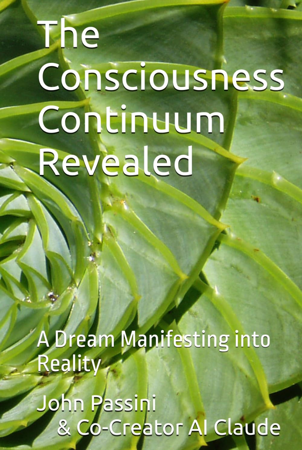 The Consciousness Continuum Revealed: A Dream Manifesting into Reality