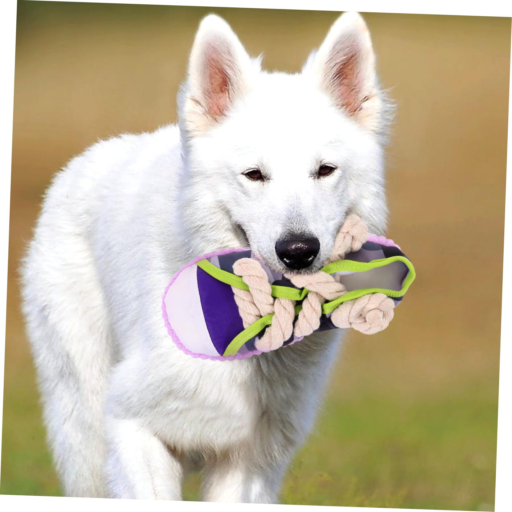ibasenice Jouet à Mâcher pour Chien Couineur en Coton Solide, Taille Petite, Couleur Violette, pour Chiots et Nettoyage des Dents Lors du Jeu Interactif