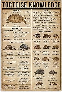 Starotore Anatomy Of A Carapace Canvas Print Painting Tortoise Knowledge Posters Frameless Wall Art Animal Pictures Vintage Wall Decor For Bedroom Bathroom Garden Home Aquarium Decor 12x18inch