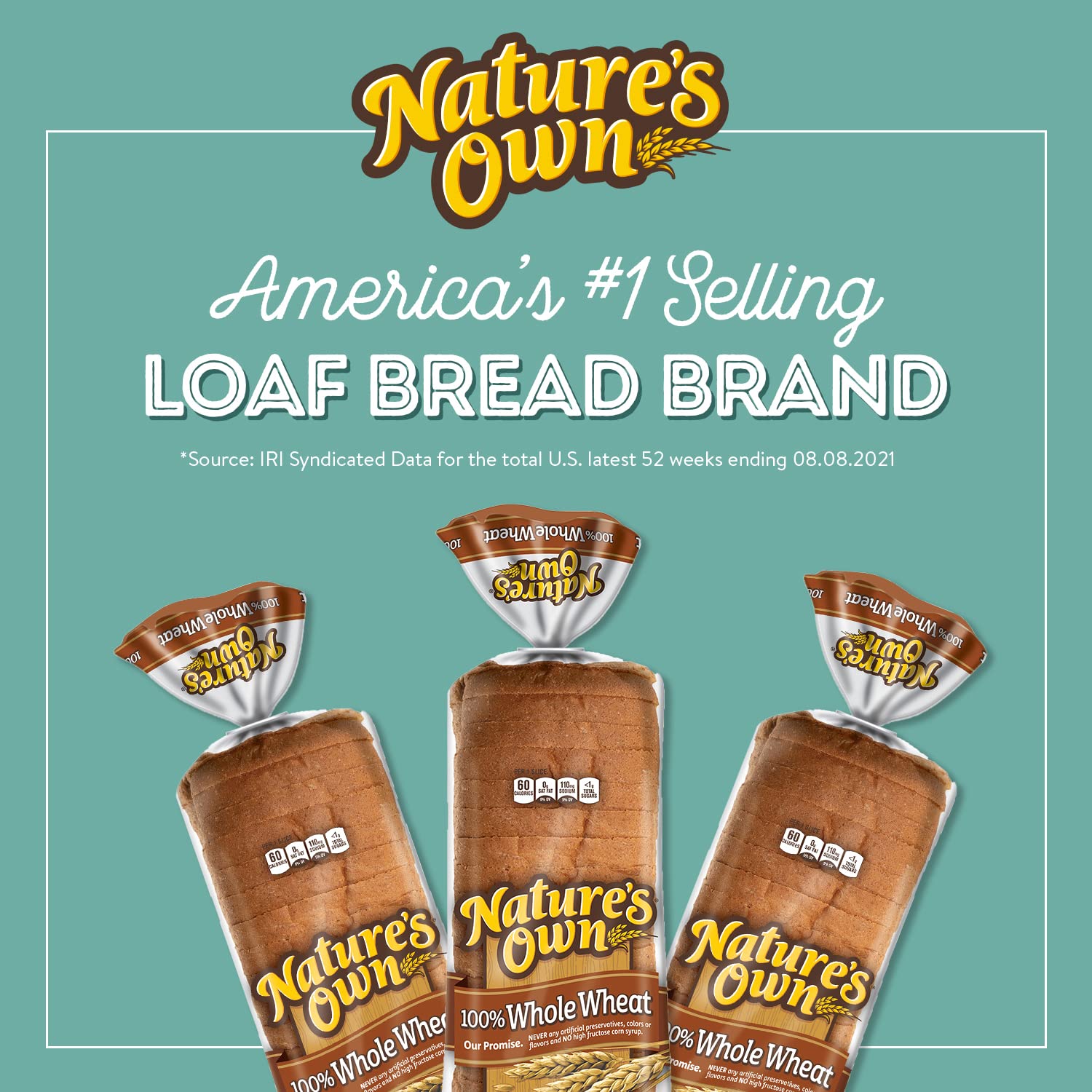 Nature's Own 100% Whole Wheat Bread Loaf - 20 oz Bag
