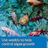 Vista 3 de API POND ALGAEFIX Control de Algas Botella de 32 Onzas, FISHAQUARI (169G)