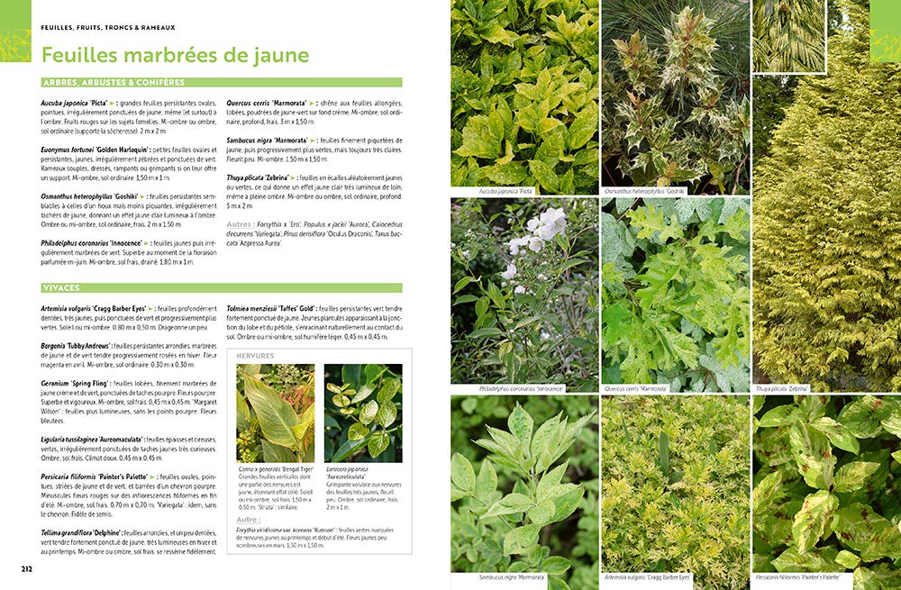 Toutes les plantes, pour toutes les envies & toutes les situations: Toutes les plantes de jardin, pour toutes les envies et toutes les situations