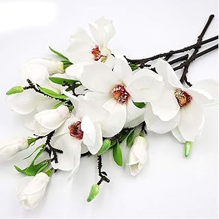 Ã¦â€” 6 Pcs Artificial Magnolia Flowers, Fake Real Touch Magnolia Bouquet for Floral Arrangements, White Silk Long Stem Magnolia with Green Leaves for Tall Vase Home Office Decor