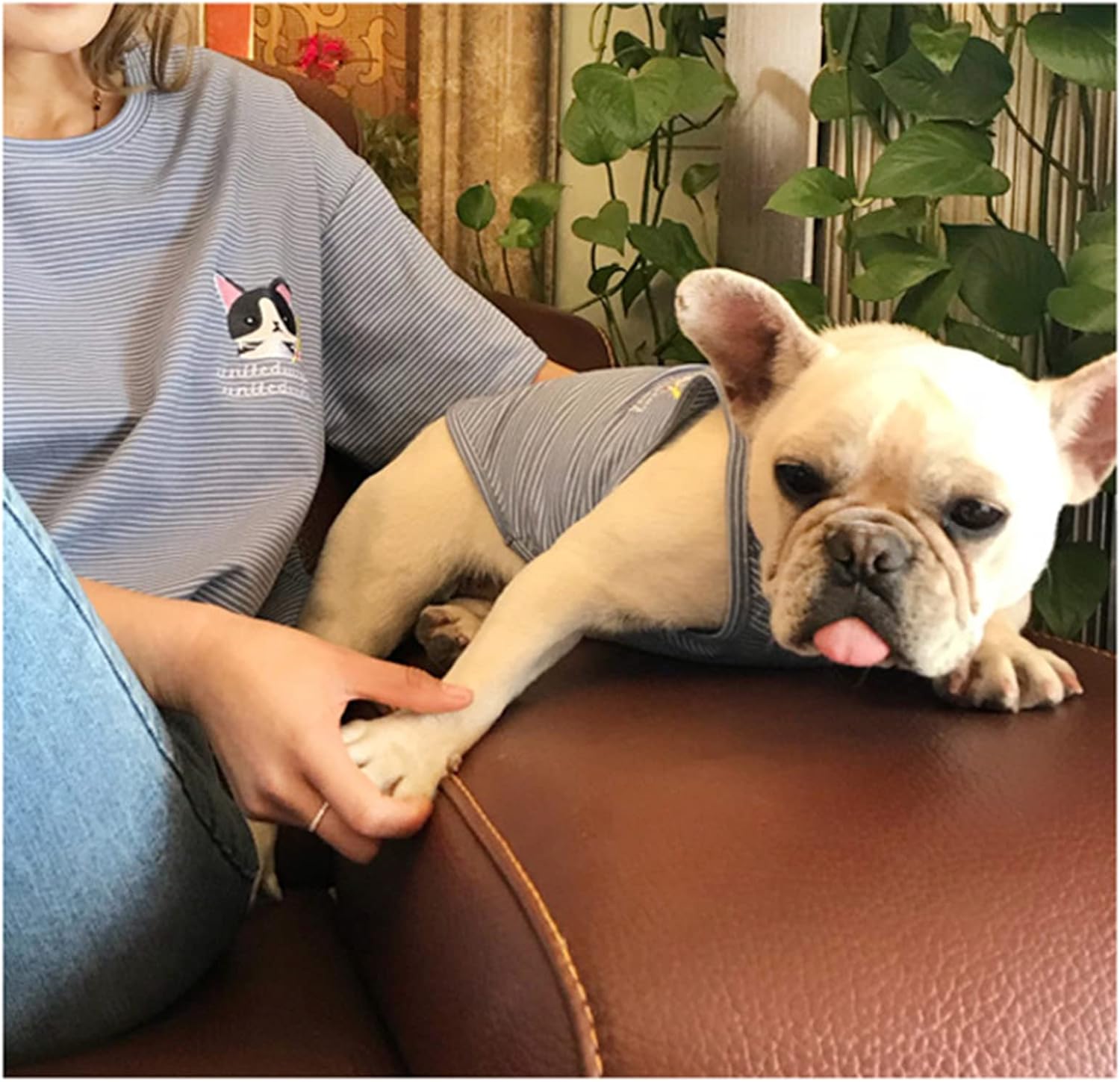 Dog and Owner Matching Clothes, Dog Shirts Puppy Shirt, Soft Family Dog Clothes, Dog Hoodies Apparel for Small Dogs, Parent & Dog Hoodie are Sold Separated