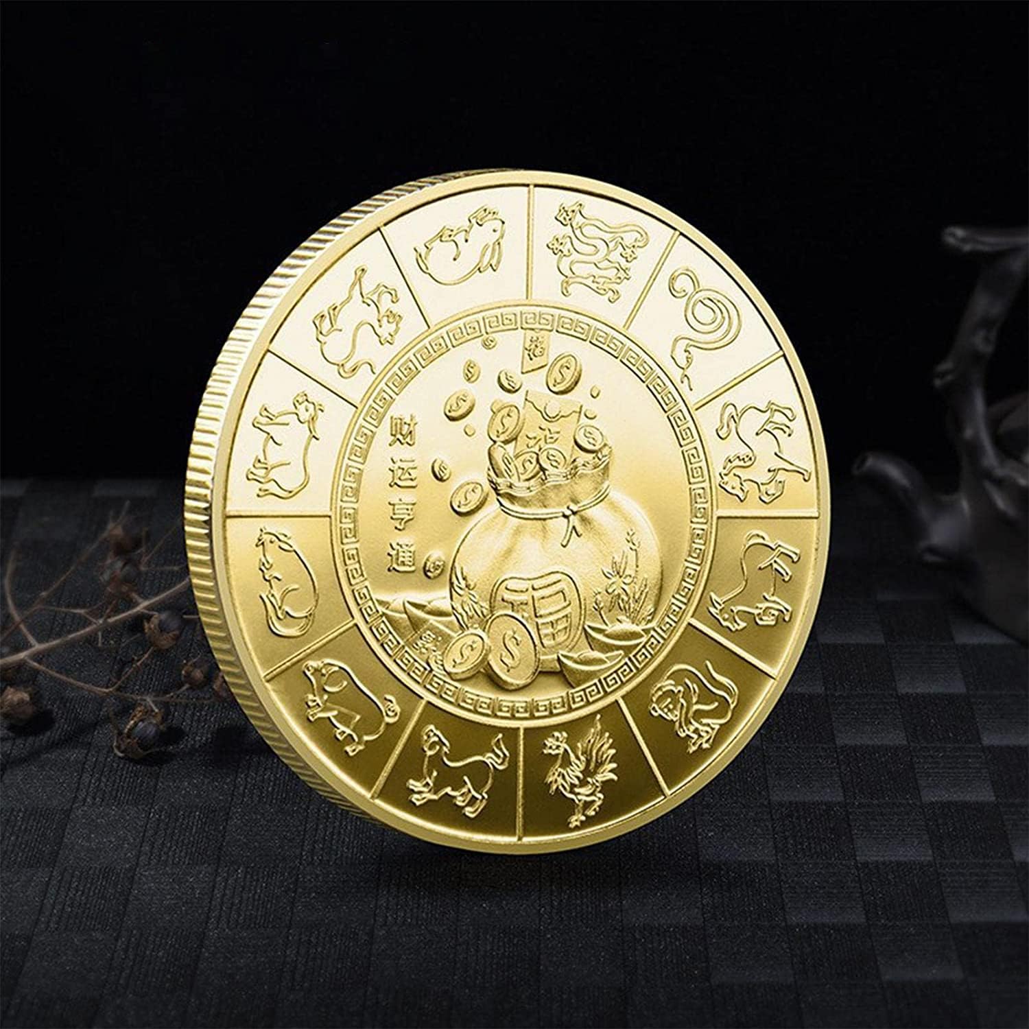 Amazon | うさぎコインの年,中国の干支うさぎ年フォーチュン コイン | コレクターのための幸運なウサギのお土産コイン、旧正月の贈り物 通販