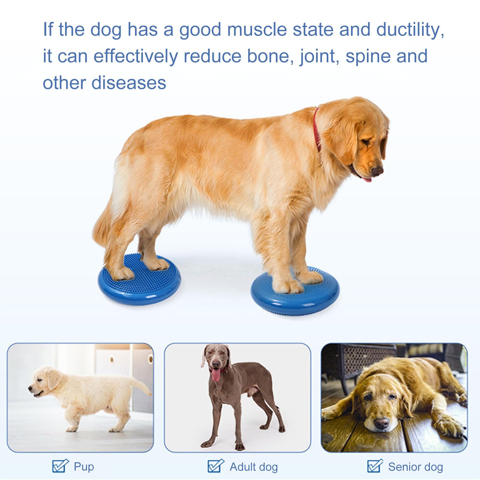 Tapis d'équilibrage pour chien avec surfaces texturées, fitness, stabilité, entraînement debout, amélioration des postures