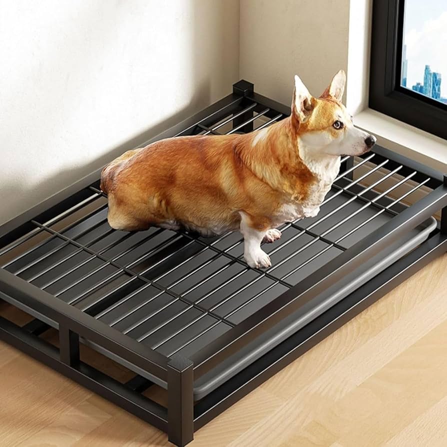 Amazon | 犬用トイレ 引き出し式 ワイド ステンレス鋼犬トイレ