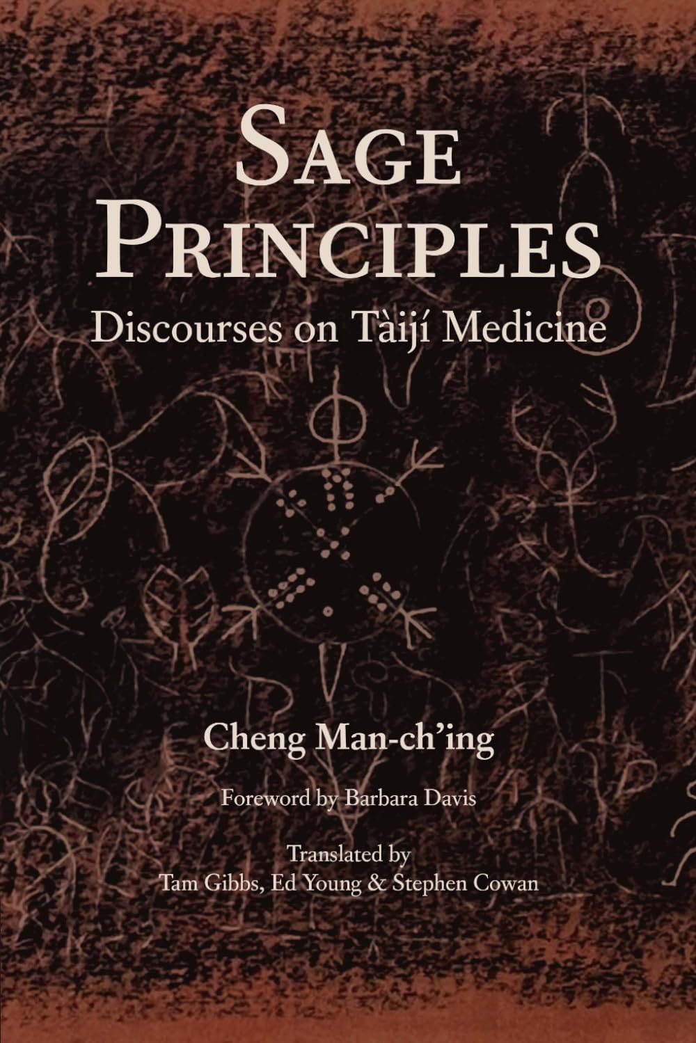 Sage Principles: Discourses on Tàijí Medicine      Paperback – March 27, 2026