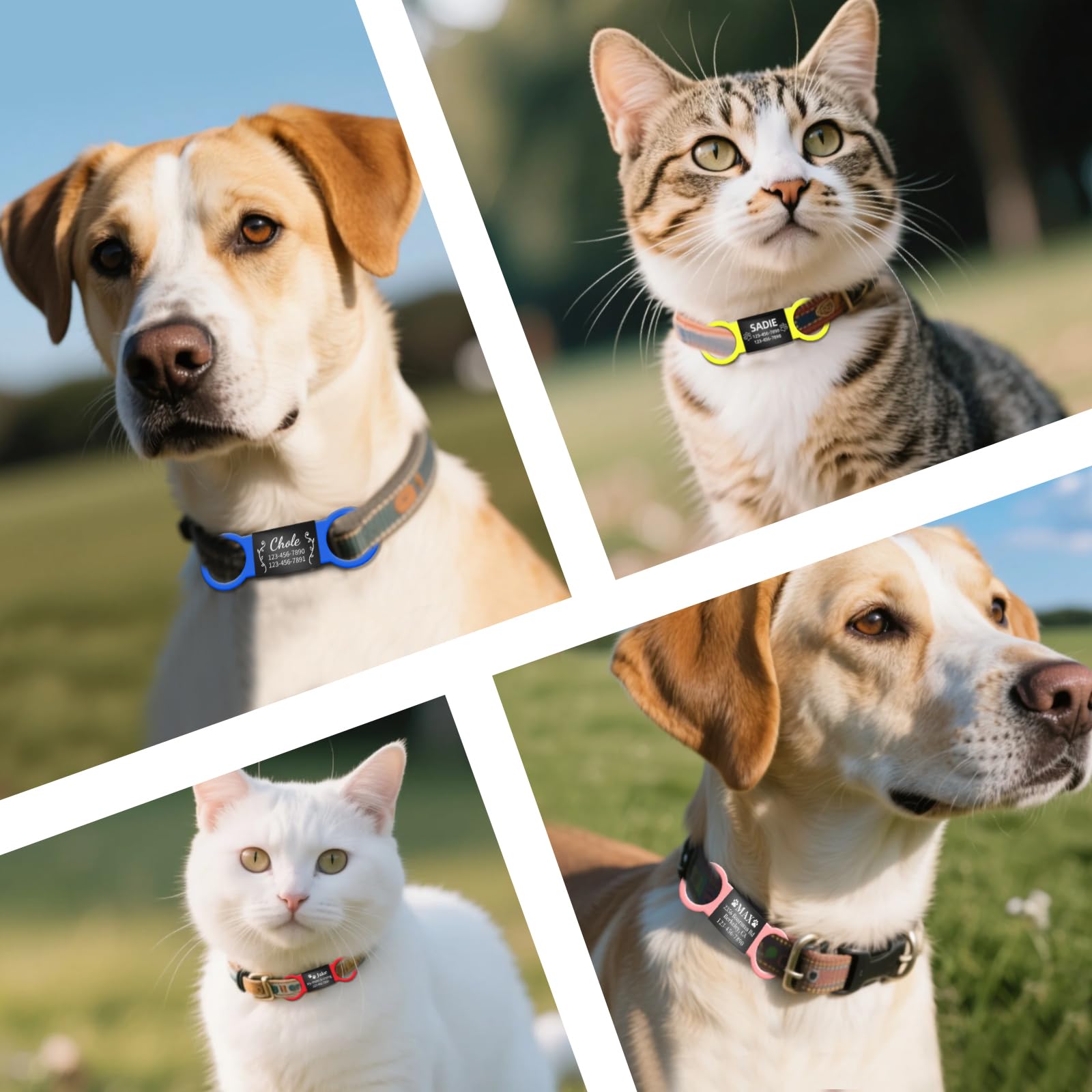 Leise Hundemarke mit Gravur, Personalisiertes Namensschild für Hunde/Katzen, Rutschfester Silikonring & Edelstahl in 7 Farben, Größe S/M/L