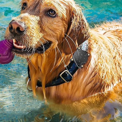 Miniatura 7 de Soporte para collar de perro AirTag impermeable, diseño personalizado con mensaje de texto, el más seguro, a prueba de polvo, ultra duradero, se