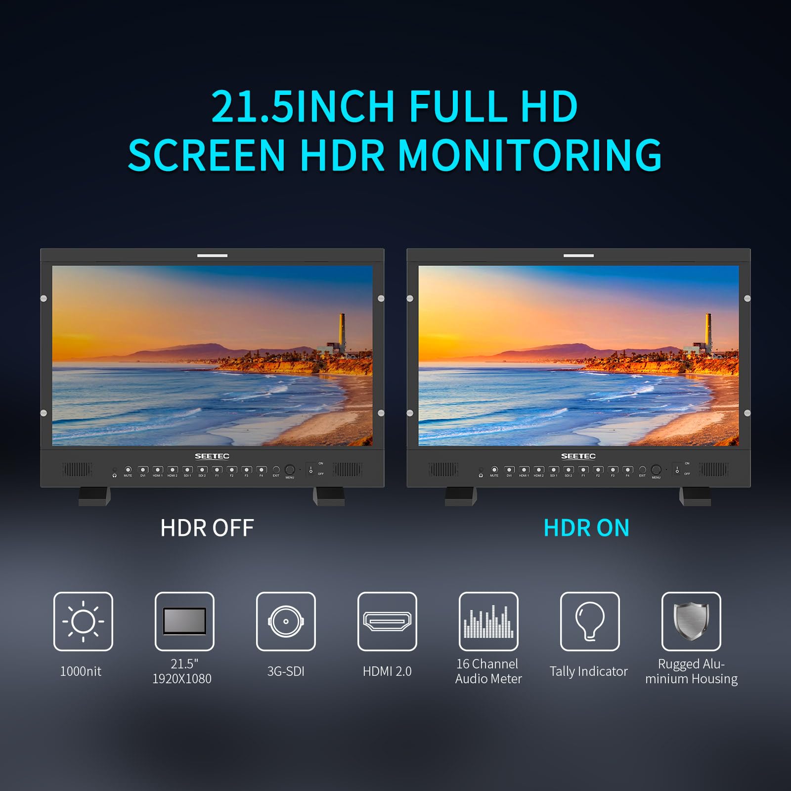 SEETEC P215 PRO 21.5