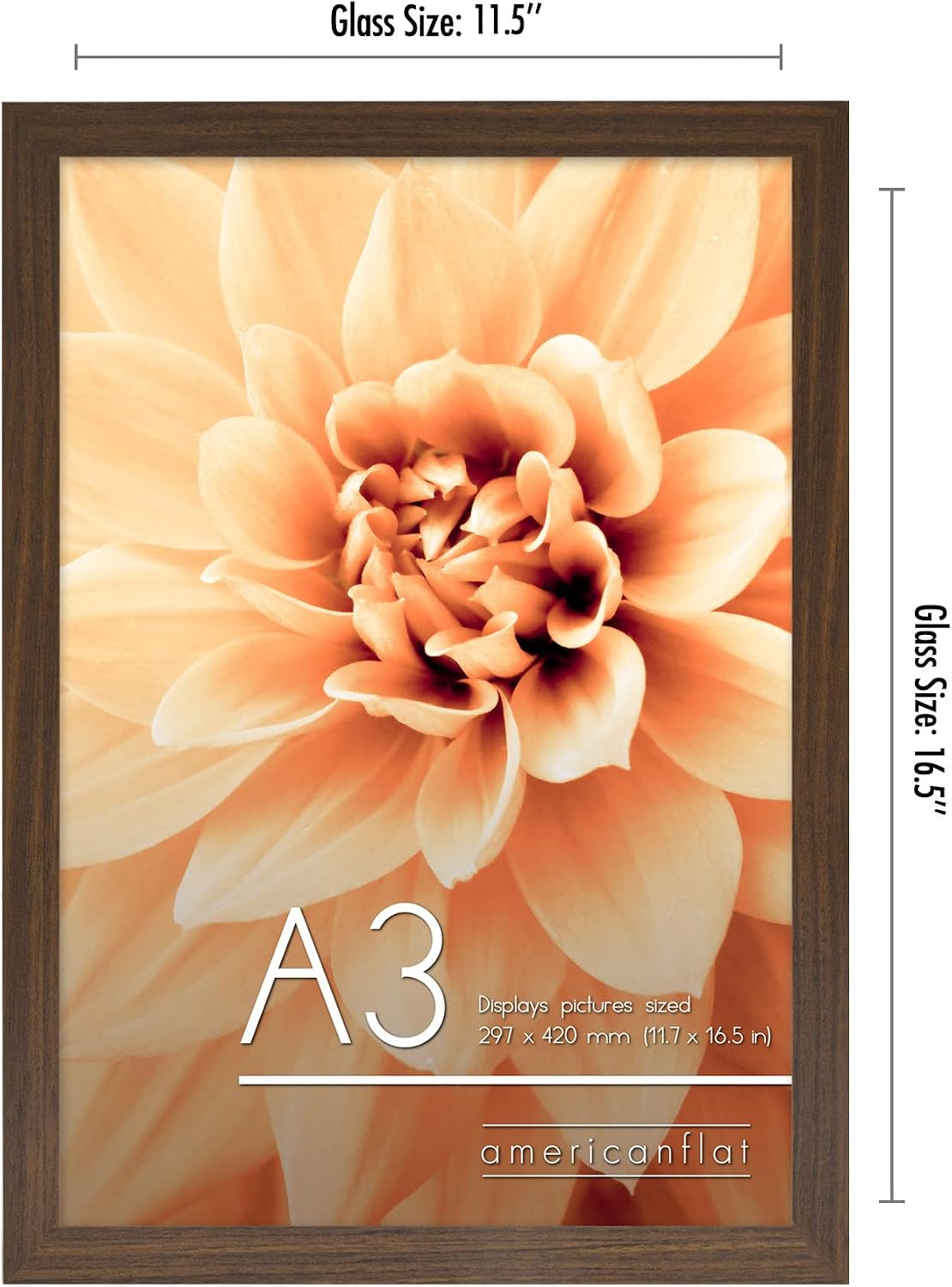 Americanflat A3 Picture Frame with Shatter-Resistant Glass - 11.7x16.5 Frame with Engineered Wood - Signature Collection - A3 Frames for Wall Display - Walnut