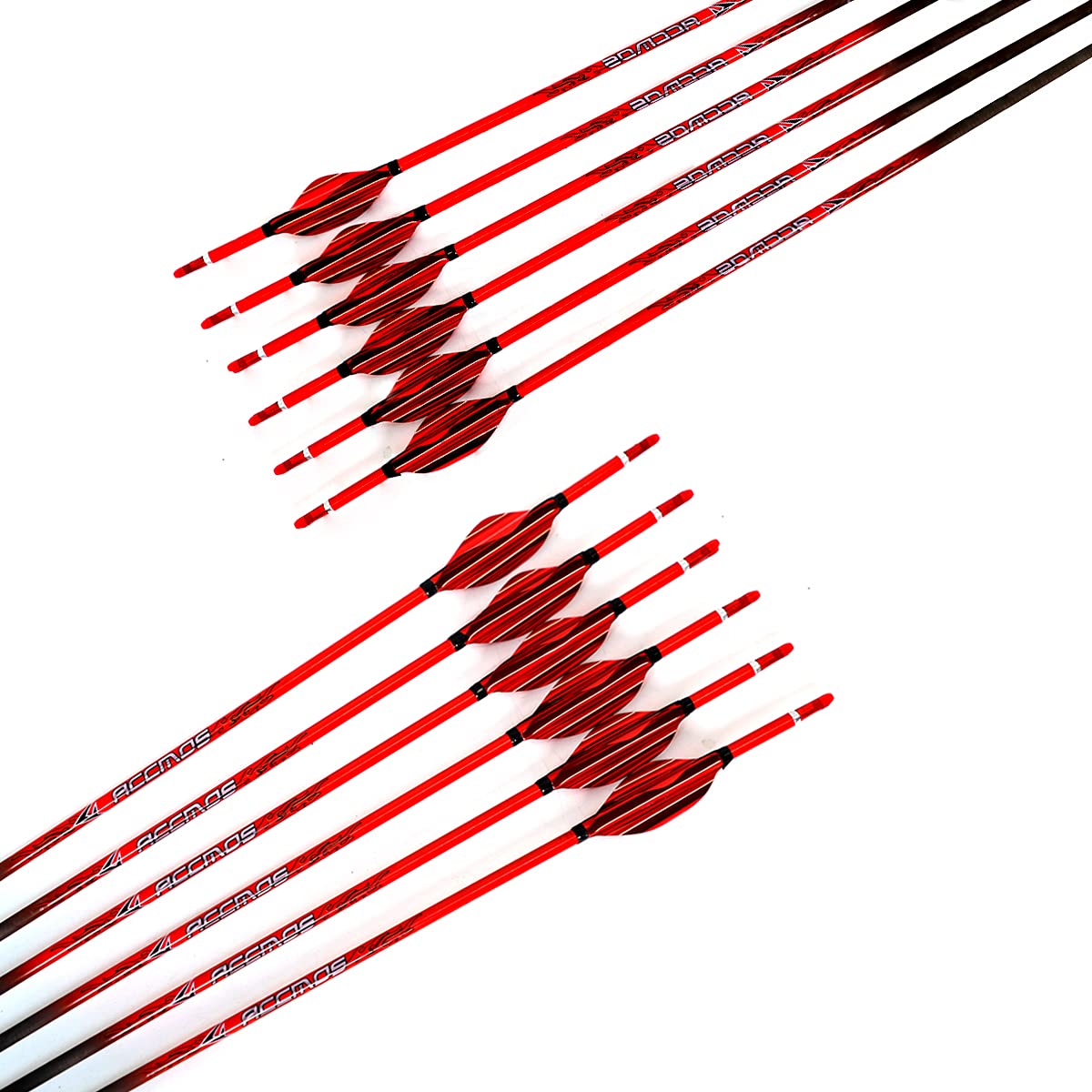 ACCMOS Rossa Spirale Piuma Puro Carbonio Frecce Spine 400-1000 Freccia da Caccia Tiro con L'Arco Freccia Pratica, per Giovani Adulti Arco Compound Arco Ricurvo Tiro Targeting Freccia12 pz