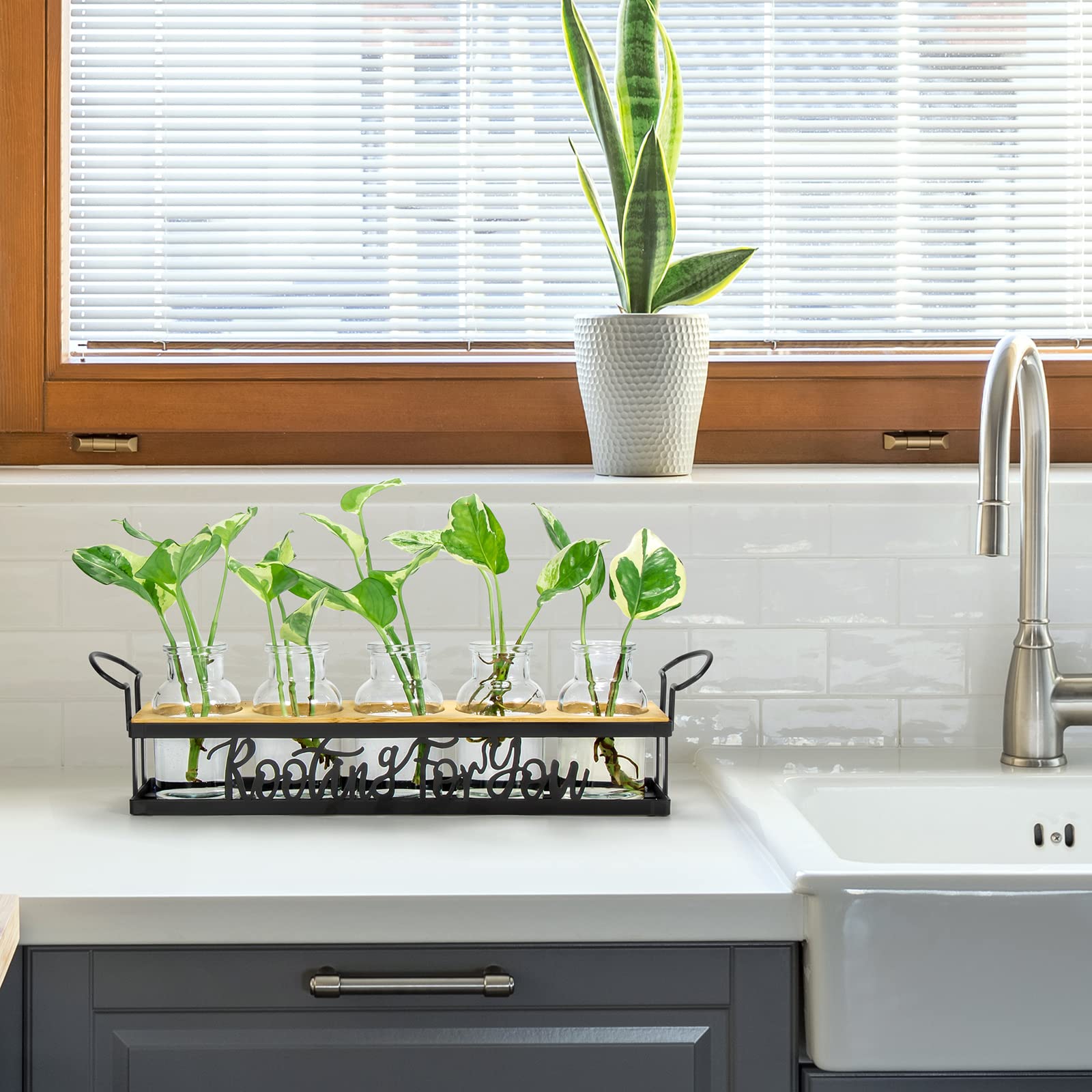 THYGIFTREE Estaciones De PropagacióN De Plantas con Soporte De Metal, Terrario De Plantas De Mesa para PropagacióN HidropóNica, Macetero De Cristal Retro, Florero, DecoracióN del Hogar, Cocina