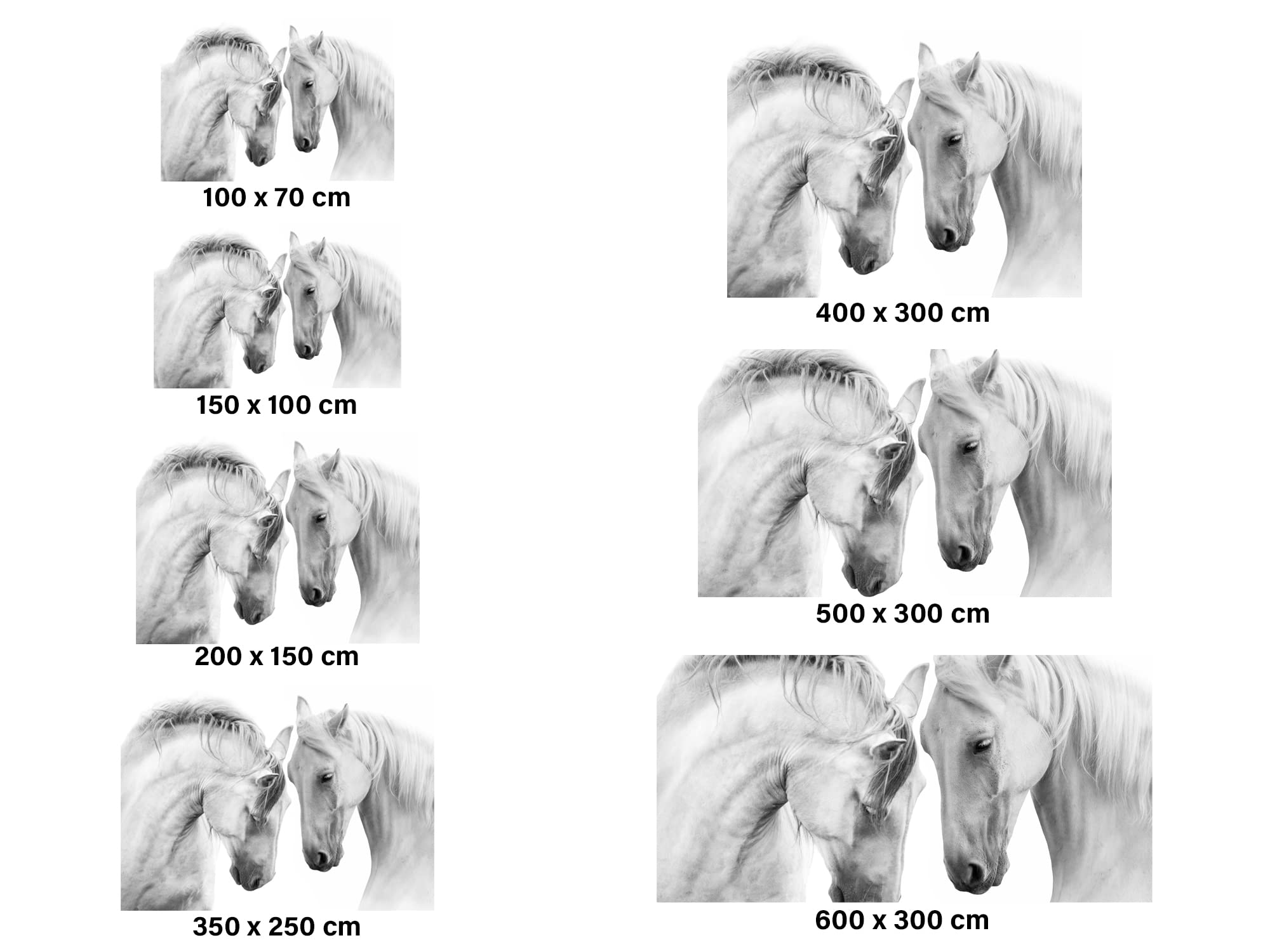 Papel Pintado Para Pared Caballos Blancos | Fotomural para paredes | Mural | Papel Pintado | Varias Medidas 200 x 150 cm | Decoración comedores, salones, habitaciones...