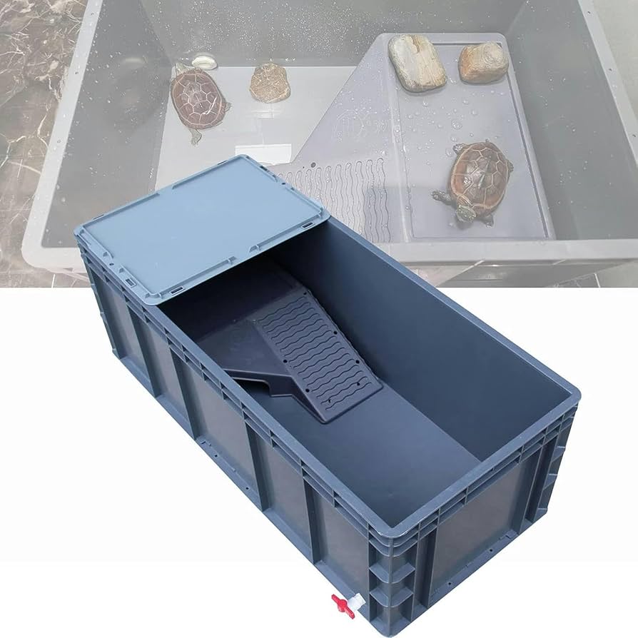 3588 外国切手 ベリーズ 1990年 カメ 亀 シリーズ 6種完 3588 外国切手 ベリーズ 1990年 カメ 亀 シリーズ 6種完